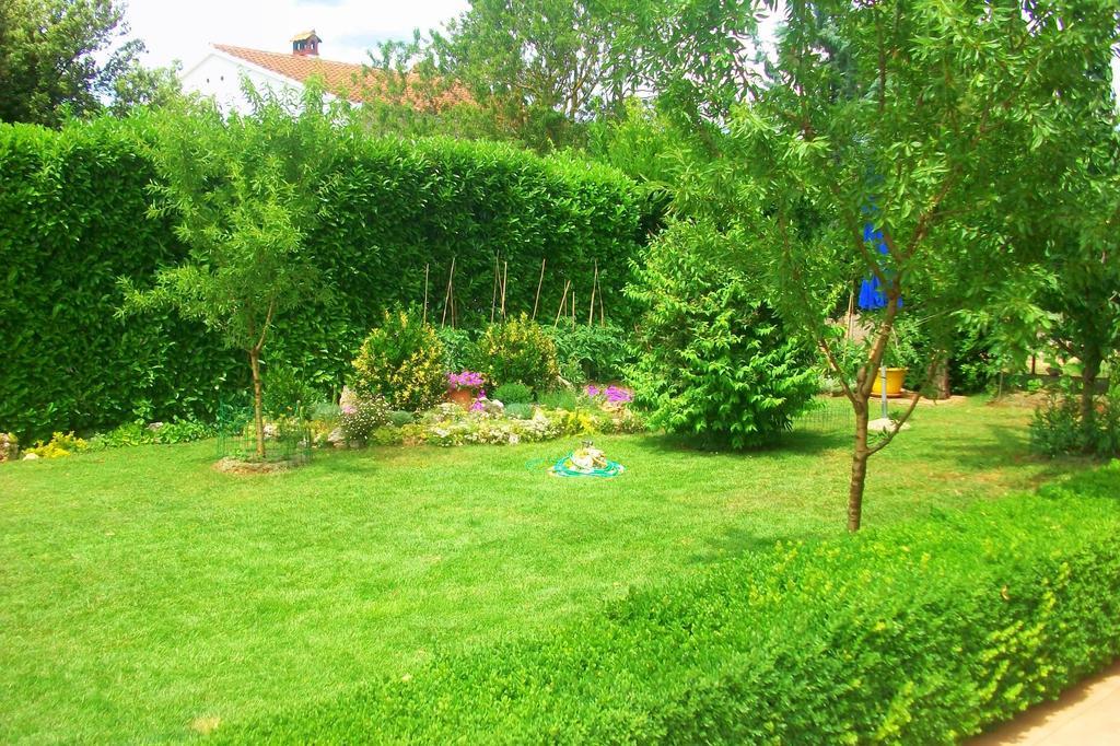 Appartement Mirna *